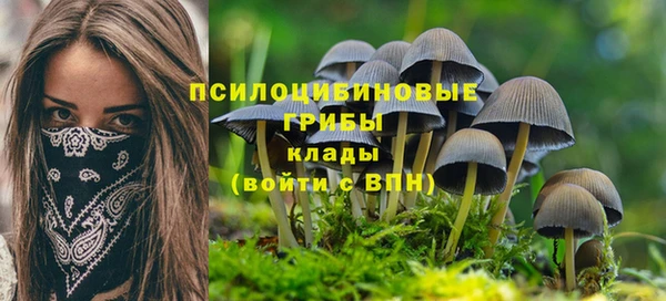 гидропоника Сафоново