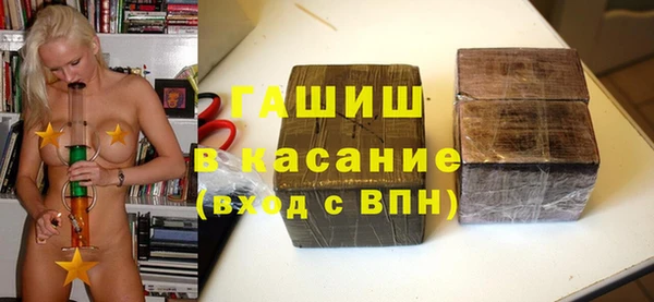 стаф Касимов
