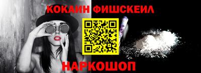 стафф Гатчина