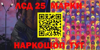 стафф Гатчина