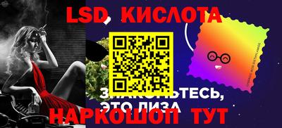 стафф Гатчина