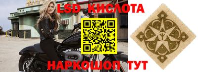 стафф Гатчина