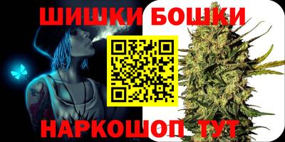 стафф Гатчина