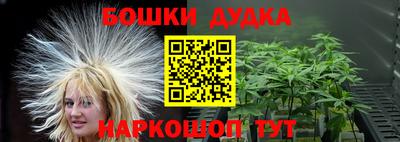 стафф Гатчина