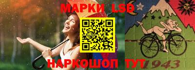 стафф Гатчина