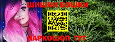 стафф Гатчина