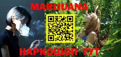 стафф Гатчина