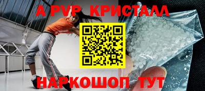 стафф Гатчина